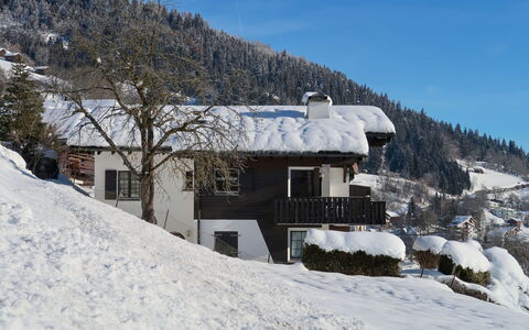 Wohnung Nr.2: Cielo, Nieve, Edificio, Montaña, Ventana, Árbol, Pendiente, Casa, Tierras Altas, Terreno