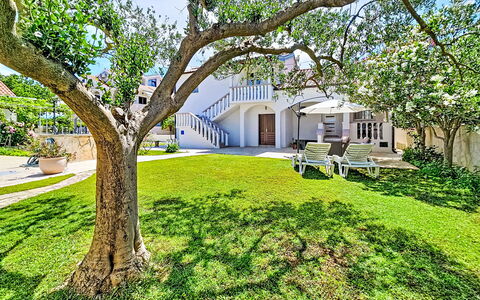 Tone: Jardín, Césped, Sombra, Inmuebles, Paisajismo, Yarda, Hacienda, Mansión, Diseño, Villa