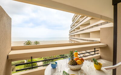 Canet-Plage 500: Propiedad, Edificio, Planta, Nube, Cielo, Ventana, Diseño De Interiores, Madera, Sombra, Casa