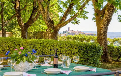 Villa Sorbaiano: Mesa, Planta, Vajilla, Propiedad, Verde, Árbol, Copa De Vino, Silla, Cielo, Manteles