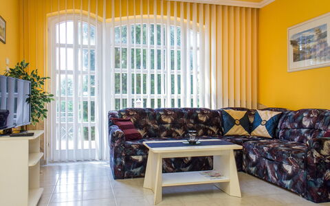 Thuja: Sofá, Propiedad, Planta, Mueble, Mesa, Planta De Casa, Azur, Madera, Comodidad, Textil