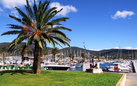 Cavalaire 700: Nube, Cielo, Planta, Arecales, Sombra, Árbol, Costeras Y Los Accidentes Geográficos Oceánico, Ocio, Planta Terrestre, Barco