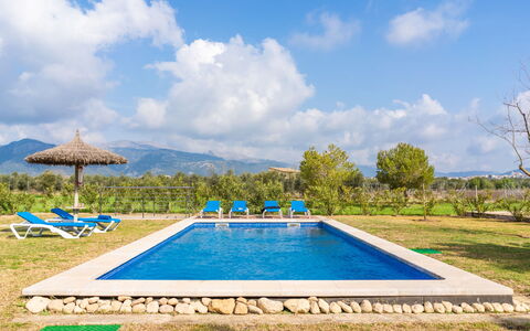Son Bordoi: Cielo, Agua, Planta, Nube, Propiedad, Piscina, Azur, Árbol, Rectángulo, El Terreno Del Lote