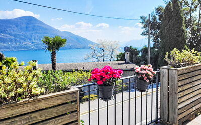 Brissago 724