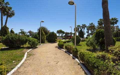 Cala Blanca i: Hoja, Vegetación, Arbusto, Jardín, Plantas Leñosas, Paisajismo, Jardín Botánico, Luz De La Calle, Sombra