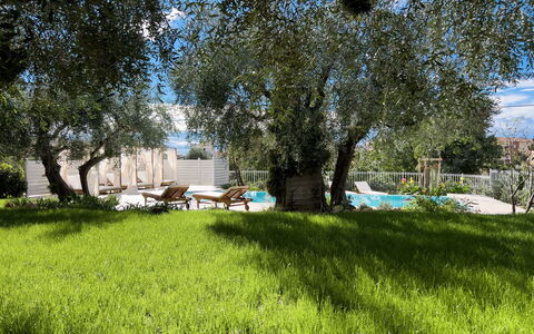 Villa Mimosa - Diano Marina: Planta, Planta De La Comunidad, Árbol, Paisaje Natural, Sombra, El Terreno Del Lote, Nube, Hierba, Pradera, Ocio