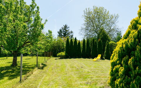 Csilla: Planta, Cielo, Paisaje Natural, Árbol, El Terreno Del Lote, Hierba, Hojas Perennes, Paisaje, Cobertura Del Suelo, Pradera
