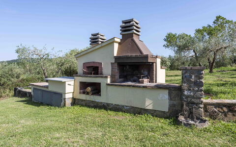 Casina Dell'acquaborra: Jardín, Patio Interior, Césped, Paisajismo, Inmuebles, Yarda, Casa De Campo, Estructura Al Aire Libre, Albañileria Horno