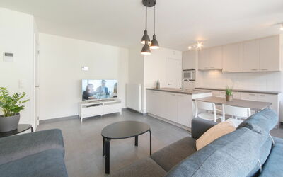 Bredene 733: Planta, Mesa, Mueble, Edificio, Sofá, Planta De Casa, Televisión, Comodidad, Casa, Madera