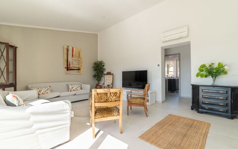 Can Rochet: Mueble, Planta, Planta De Casa, Comodidad, Madera, Marco, Maceta, Sala, Diseño De Interiores, Piso
