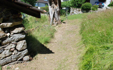 Baita Monti di Piazzogna: Planta, Propiedad, Planta De La Comunidad, Árbol, El Terreno Del Lote, Hierba, Biome, Paisaje Natural, Casa, Base