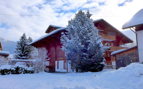 Saanen 100: Nube, Cielo, Nieve, Edificio, Planta, Ventana, Árbol, Casa, Rama, Alerce
