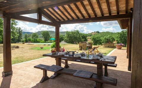 Casale Poggio Lupinaio: Planta, Cielo, Propiedad, Mesa, Sombra, Madera, Diseño De Interiores, Árbol, Mueble Para Exteriores, Banco Al Aire Libre
