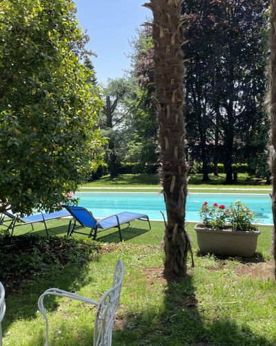 Sofia: Planta, Agua, Paisaje Natural, Árbol, Sombra, El Terreno Del Lote, Hierba, Cielo, Mueble Para Exteriores, Piscina