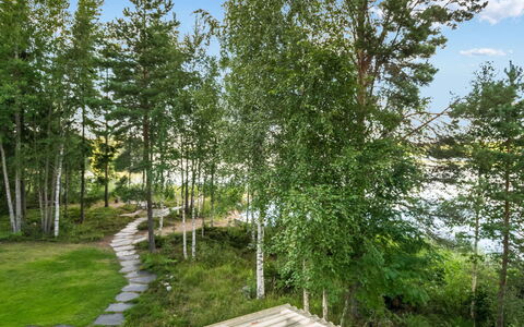 Torniniemi: Hoja, Árbol, Verde, Vegetación, Arbusto, Planta De La Comunidad, El Maletero, Primavera, Plantas Leñosas, Jardín