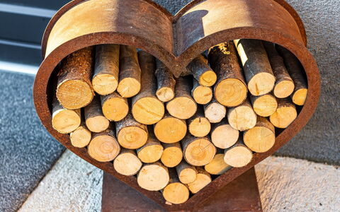 Sabine: Planta, Madera, Madera Dura, Material Natural, Fuente, Arte, Árbol, Piso