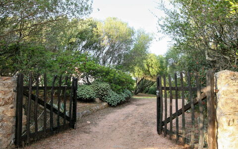 Contraruia: Planta, Cielo, Paisaje Natural, Cerca, Árbol, El Terreno Del Lote, Vegetación, Superficie De La Carretera, Sombra, Madera