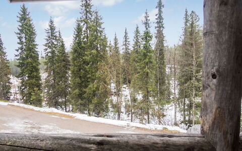 Rukanpesä 2A: Madera, Bosque, El Maletero, Invierno, Plantas Leñosas, Bosque, Ramita, Alerce, Congelación