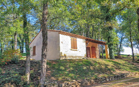 Le Châtaignier: Planta, Ventana, Hoja, Árbol, Edificio, Paisaje Natural, Madera, El Terreno Del Lote, Biome, Hierba
