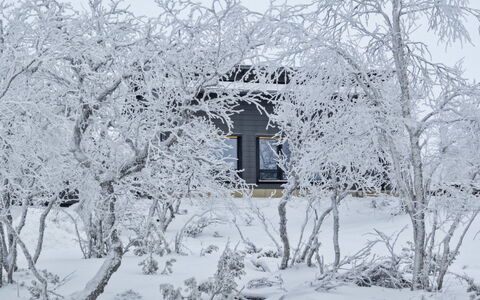 Villa Viima: Nieve, Rama, Invierno, Blanco, Madera, Ramita, Congelación, Casa, Pendiente