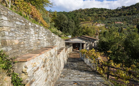 Villa Montignoso: Cielo, Planta, Nube, Edificio, Madera, Paisaje Natural, Montaña, Pendiente, Superficie De La Carretera, Árbol