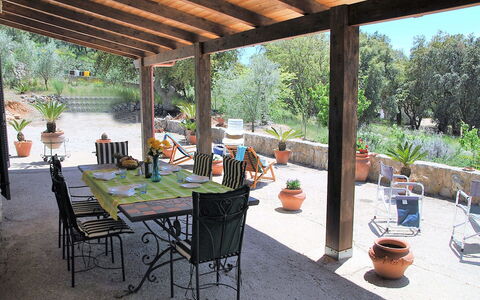 Cycas: Planta, Mesa, Mueble, Silla, Maceta, Edificio, Vajilla, Árbol, Mesa Al Aire Libre, Sombra