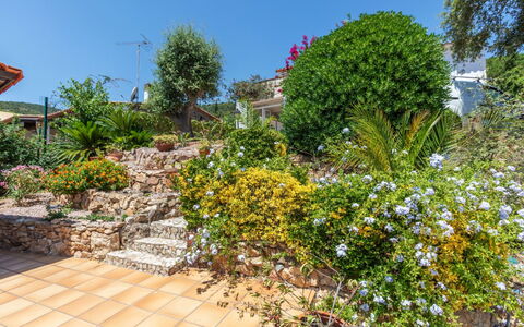 El Suro: Flor, Arbusto, Jardín, Planta Floreciendo, Paisajismo, Jardín Botánico, Yarda