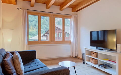 Schwendi 3: Diseño De Interiores, Mueble, Piso, Madera, Suelo, Sofá, Habitación, Techo, Suelos De Madera, Sala