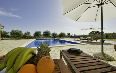 Villa Dalmacija: Cielo, Agua, Propiedad, Planta, Edificio, Sombra, Nube, Mueble Para Exteriores, Árbol, Arecales