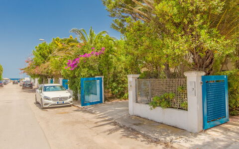 Villa Talise: Cielo, Tiempo De Día, Planta, Edificio, Superficie De La Carretera, Coche, El Terreno Del Lote, Asfalto, Rueda