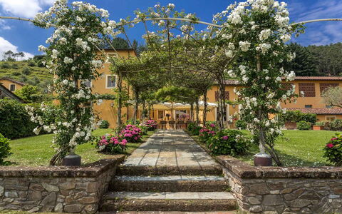 Villa Castellaccio: Flor, Planta, Cielo, Nube, Edificio, Botánica, Pétalo, Vegetación, Árbol, Paisaje
