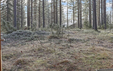 Alppitalo Mökki: Madera, Cabaña, Cuarto De Troncos, Bosque, Cobertizo, Edificios Del Jardín, Alerce, Bosque, Manchas De Madera
