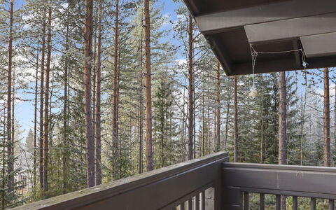 Alppitalo Mökki: Madera, Cabaña, Cuarto De Troncos, Bosque, Cobertizo, Edificios Del Jardín, Alerce, Bosque, Manchas De Madera