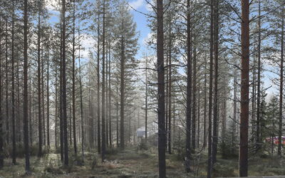 Alppitalo Mökki