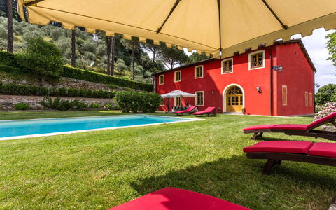 Villa Guasperini: Planta, Propiedad, Edificio, Sombra, Paraguas, Mueble Para Exteriores, Hierba, Ocio, Piscina, Árbol