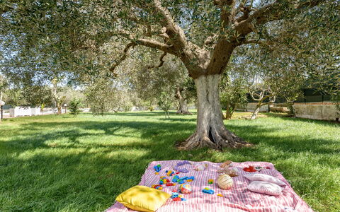 Villa Käthe Con Piscina Privata: Planta, Botánica, Árbol, Hierba, Paisaje Natural, Sombra, Cobertura Del Suelo, Ocio, Pradera
