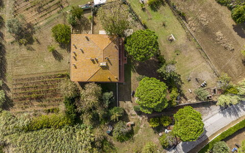 Holiday Home Giannella: Planta, Propiedad, El Terreno Del Lote, Edificio, Vegetación, Hierba, Diseño Urbano, Biome, Paisaje Natural, Barrio Residencial