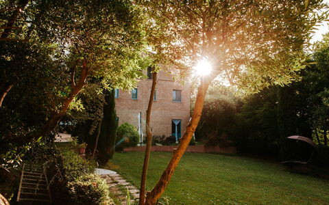 Villa Millefiori: Planta, Hoja, Árbol, Rama, Encendiendo, Luz De Sol, Paisaje Natural, Luz De La Calle, Vegetación, Hierba