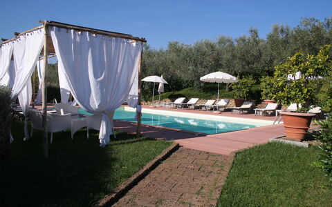 Il Fienile Holiday Home: Planta, Cielo, Agua, Paraguas, Sombra, Piscina, Mueble Para Exteriores, Maceta, Hierba