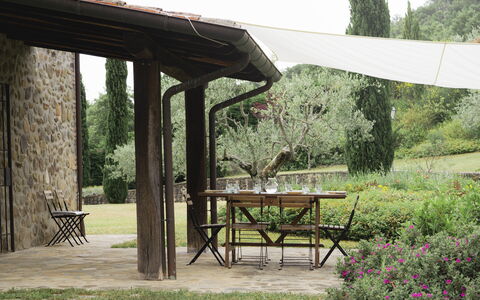 Villa San Leo: Planta, Mesa, Propiedad, Mueble, Naturaleza, Sombra, Árbol, Mueble Para Exteriores, Mesa Al Aire Libre, Madera