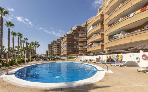 Apartamento 1Ra Línea Marina D'Or: Blanco, Número, Captura De Pantalla