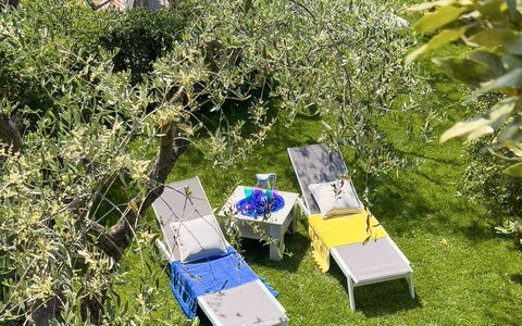Villa La Rodina - Diano Marina: Planta, Planta De La Comunidad, Paisaje Natural, Vegetación, El Terreno Del Lote, Hierba, Biome, Árbol, Arbusto, Cobertura Del Suelo