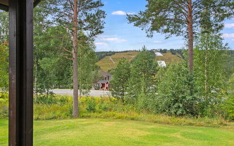 Tahkon Klubitie 4 a: Hierba, Arbusto, El Terreno Del Lote, Jardín, Cobertura Del Suelo, Primavera, Paisajismo, Césped, Prado, Sombra