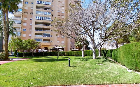 Bitacoras: Edificio, Planta, Propiedad, Cielo, Botánica, Árbol, Hoja, Naturaleza, Verde, Ventana