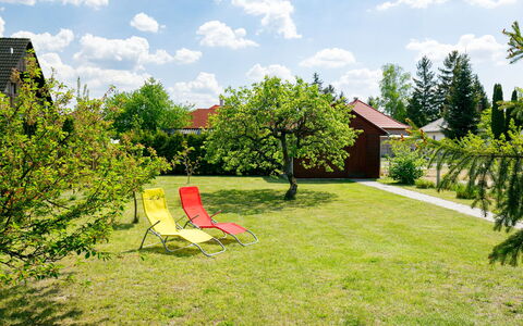 Pear Trees: Cielo, Planta, Edificio, Tiempo De Día, Propiedad, Árbol, Diseño Urbano, Barrio, Barrio Residencial, Plantas Leñosas