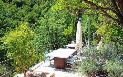 Villa Vetice: Planta, Planta De La Comunidad, Árbol, Paisaje Natural, Rama, Madera, Luz De Sol, Hierba, Biome, Plantas Leñosas