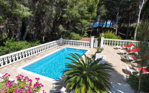 Villa Marina: Agua, Planta, Propiedad, Naturaleza, Azur, Piscina, Árbol, Edificio, Arecales, Cuerpo De Agua