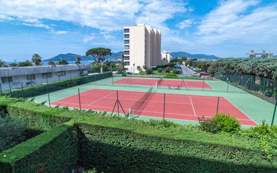 Alojamiento:&nbsp;Royal Palm 595.2