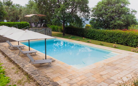 Villa Sant'anna: Agua, Planta, Propiedad, Piscina, Sombra, Rectángulo, Árbol, Cielo, Hierba, Mueble Para Exteriores