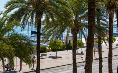 Puerto Denia Cervantes